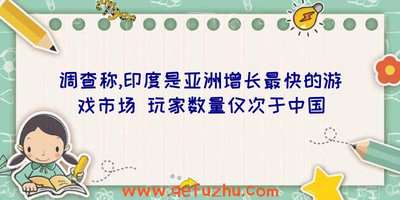 调查称,印度是亚洲增长最快的游戏市场